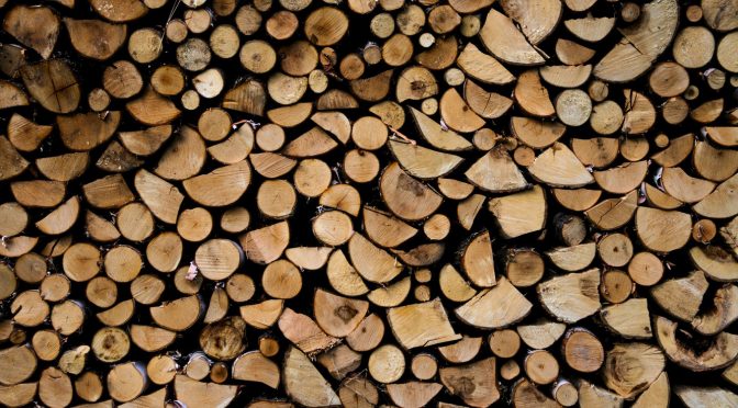 Уряд заборонив експорт паливної деревини, — Прем’єр-міністр